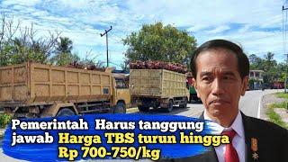 BERITA SAWIT,INFO SAWIT ll HARGA SAWIT HARI INI  UPDATE HARGA TBS SAWIT TERBARU,SAWIT ANJLOK