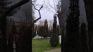 Bu yer qayerligini bilasizmi?#tashkent #tabiat #yovvoyi #wildlifeuzbekistan #beatifulplace #damolish