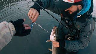 Ловим щуку, судака и окуня. Микроджиг на малой реке  | Рыбалка с Fishingsib