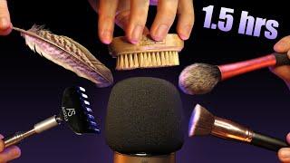 ASMR ULTIMATE MIC BRUSHING - Extra Tingly Brushing & Scratching   [No Talking]