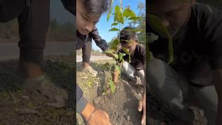 1 Subscribe - 1 Tree  Please support us for complete our Dream 10 Lakh Tree planting