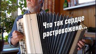 Что так сердце растревожено... - на баяне. Тавричанка