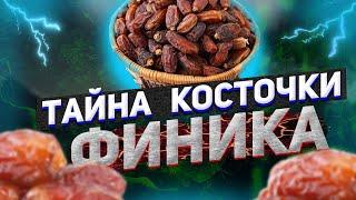 Поразительно! Мало кто знает тайну КОСТОЧКИ финика. Готовимся к Рамадану 2021. Польза фиников. Хадис