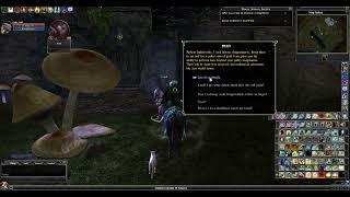 DDO Cold Caster Druid Build & Guide