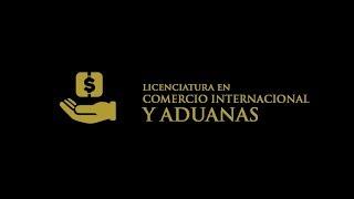 Alvart - Entrevista Comercio Internacional y Aduanas