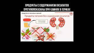 Продукты с содержанием оксалатов противопоказаны при камнях в почках #почки #камнивпочках #оксалаты
