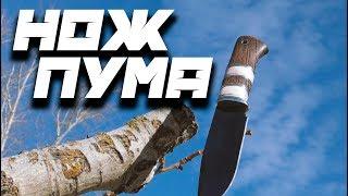 НОЖ ПУМА ►9ХС►ОКСКИЕ НОЖИ\\\KNIFE PUMA ►9HS►OKSKIE KNIVES