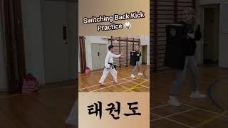 Switching Back Kick Practice   #taekwondo #martialarts #training #sports #fitness