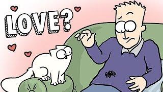 6 Signs Your Cat Loves You - Simon's Cat | GUIDE TO