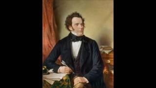 Franz Schubert - Andante, Symphony No.2 (1815)