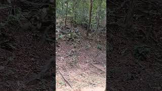 Hiking kita