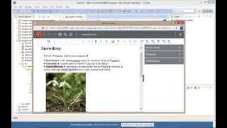 Webinar: oXygen XML Editor 17 - XML Authoring on the Web