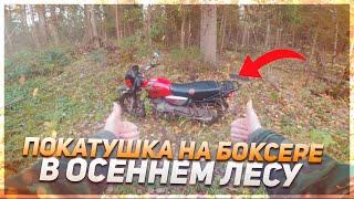 ПОКАТУШКА НА МОТОЦИКЛЕ ПО ОСЕННЕМУ ЛЕСУ!