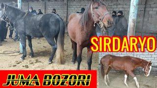 SIRDARYO JUMA OT BOZORI 