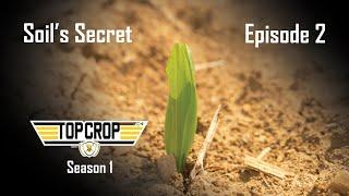 Top Crop | Episode 2