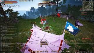 Black Desert Online Sea   When 2 Guardian Fighting Along Side   Best Moment PVP