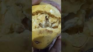 fruits fruit bel fresh fruit || Nature #natural #VDS@style-i2z #viralshorts
