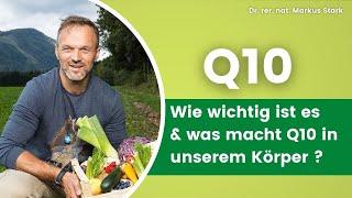 Q10  Warum ist Q10 für unseren Energiestoffwechsel wichtig? Dr. rer. nat. Markus Stark