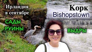 ИрландияCork/Здесь Живут Выдры/Капсула Времени в Садах Bishopstown/Меняем Планы