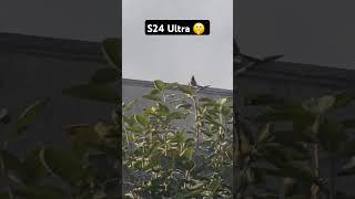 Samsung S24 Ultra Camera Power Ep75 #saqibmobile #s24ultra #viralvideo #shorts