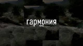 гармония: изменение негативных убеждений, ментальное здоровье, гармония сознания и подсознания