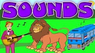 Learn All About Sounds: Animals, Musical Instruments, Noise Machines; Educational Videos for Kids