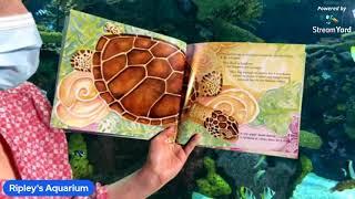 World Ocean Day Storytime: On Kiki's Reef