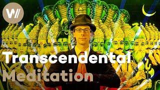 Journey into the World of Transcendental Meditation - David Wants To Fly (Documentary, 2010)