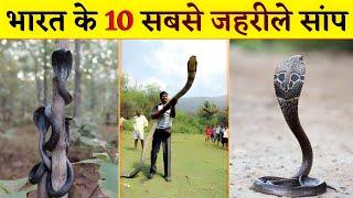 Top 10 Most Venomous Snakes in India | भारत के 10 सबसे जहरीले सांप