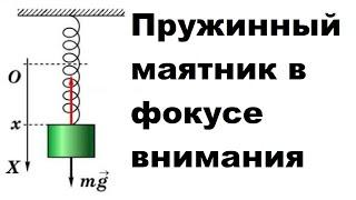 Пружинный маятник в фокусе внимания