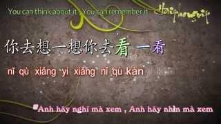 Ánh trăng nói hộ lòng em - 月亮代表我的心 [VietSub+kara] Pinyin