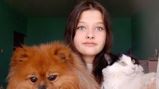 МОИ ДОМАШНИЕ ЖИВОТНЫЕ