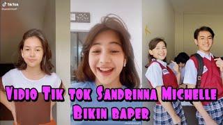 Kumpulan Video Tik Tok Sandrinna Michelle , Reybong Terbaru