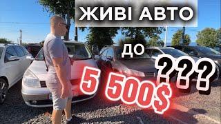 Авторинок Луцьк//Ціни на БЮДЖЕТНІ авто до 5 500$#автопідбір