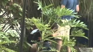 Girl Caught peeing in Public