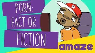 Porn: Fact or Fiction