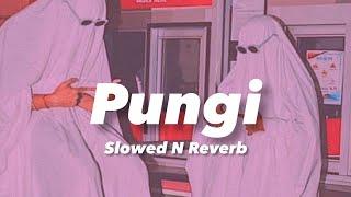 Pungi (Slowed n Reverb)