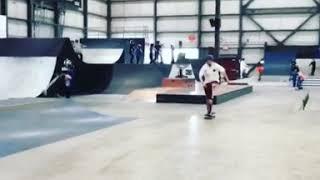 Taz skatepark the wall