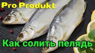 Как солить пелядь очень вкусно и быстро