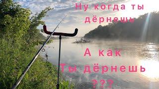 Как клюёт на фидер. Как дрыгает кончик фидера при поклёвке. Поклёвках на фидер на реке в Пензе