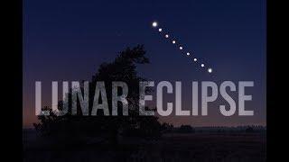 Lunar Eclipse 2019 - Veluwe - Maansverduistering