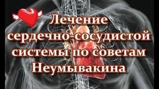 Лечение сердечно сосудистой системы по советам Неумывакина