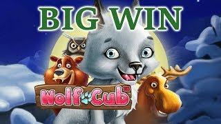 Wolf Cub online slot by Netent Big win