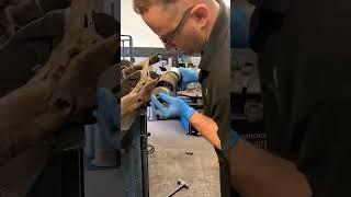 Axle Bush Change On A 2004 VW Beetle