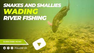 Wade Fishing for Big Smallmouth in SNAKE infested water