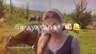 хола -хола духтаре дори!