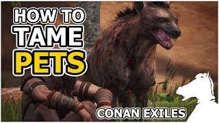 How to tame PETS | CONAN EXILES