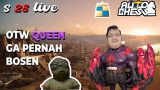 PUSH QUEEN ! AUTO CHESS