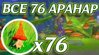 ВСЕ 76 АРАНАР, ГДЕ НАЙТИ ВСЕХ АРАНАР НА КАРТЕ СУМЕРУ ЧТОБЫ ПОЛУЧИТЬ РОСКОШНЫЙ СУНДУК| Genshin Impact