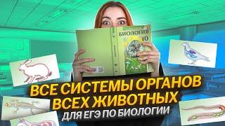 Зоология: все системы органов всех животных для ЕГЭ